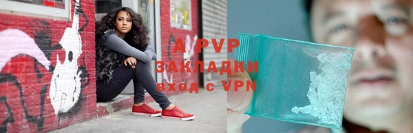 дмт Абаза