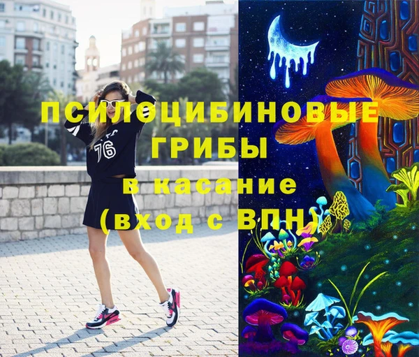 дмт Абаза